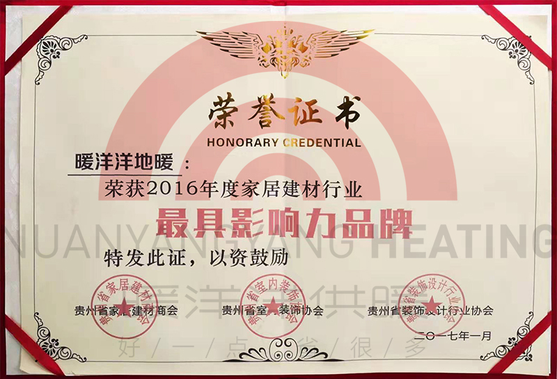 最具影響（xiǎng）力（lì）品牌
